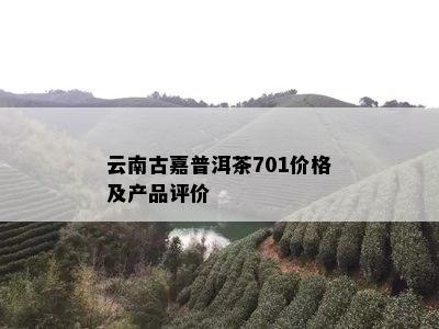 云南古嘉普洱茶701价格及产品评价