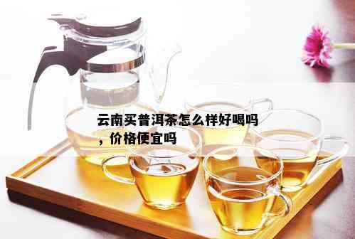 云南买普洱茶怎么样好喝吗，价格便宜吗