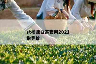 st福鼎白茶官网2021指导价