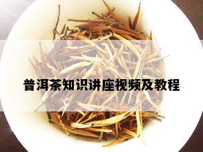 普洱茶知识讲座视频及教程