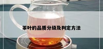 茶叶的品质分级及判定方法