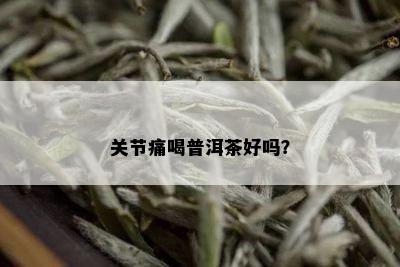 关节痛喝普洱茶好吗？