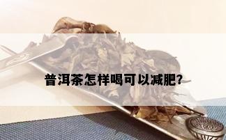 普洱茶怎样喝可以减肥？