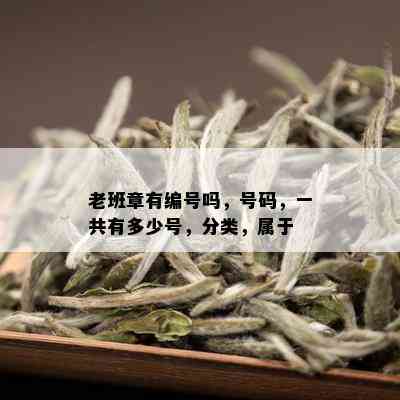 老班章有编号吗，号码，一共有多少号，分类，属于