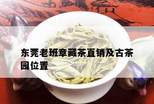 东莞老班章藏茶直销及古茶园位置