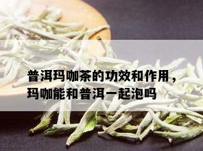 普洱玛咖茶的功效和作用，玛咖能和普洱一起泡吗