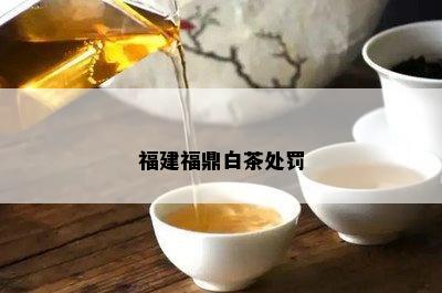 福建福鼎白茶处罚