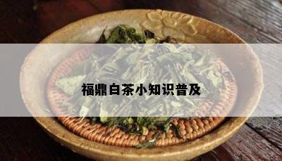 福鼎白茶小知识普及