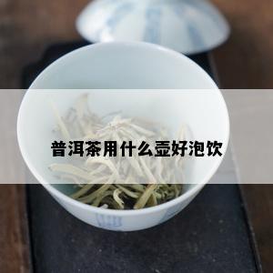 普洱茶用什么壶好泡饮