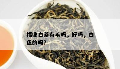 福鼎白茶有毛吗，好吗，白色的吗？