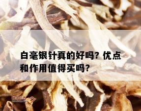 白毫银针真的好吗? 优点和作用值得买吗?