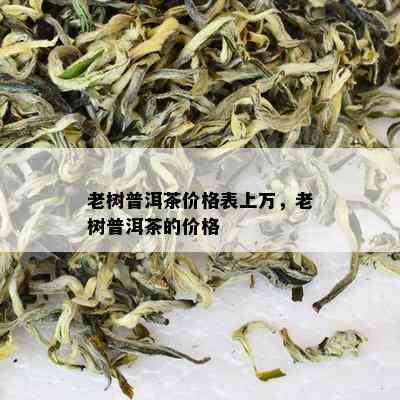 老树普洱茶价格表上万，老树普洱茶的价格