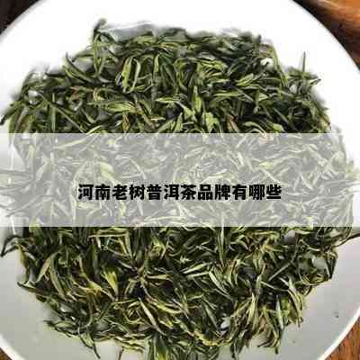 河南老树普洱茶品牌有哪些