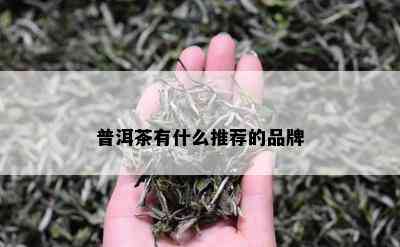 普洱茶有什么推荐的品牌