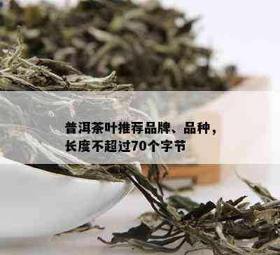 普洱茶叶推荐品牌、品种，长度不超过70个字节