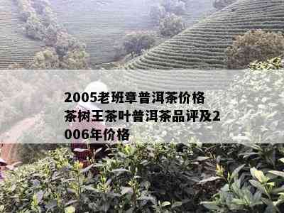 2005老班章普洱茶价格茶树王茶叶普洱茶品评及2006年价格