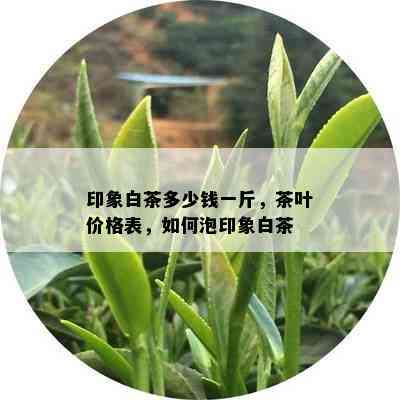 印象白茶多少钱一斤，茶叶价格表，如何泡印象白茶