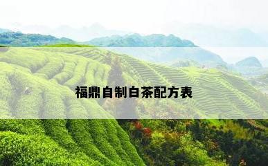 福鼎自制白茶配方表