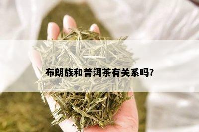 布朗族和普洱茶有关系吗？