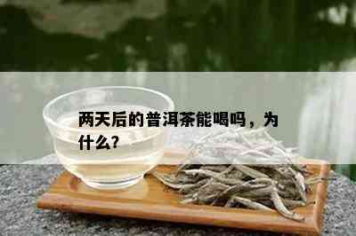 两天后的普洱茶能喝吗，为什么？