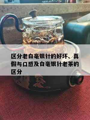 区分老白毫银针的好坏、真假与口感及白毫银针老茶的区分