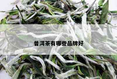 普洱茶有哪些品牌好