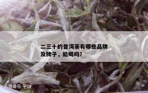 二三十的普洱茶有哪些品牌及牌子，能喝吗？