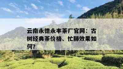 云南永德永丰茶厂官网：古树经典茶价格、忙肺效果如何？