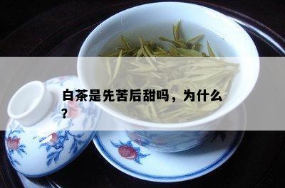 白茶是先苦后甜吗，为什么？