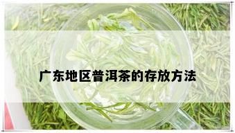 广东地区普洱茶的存放方法