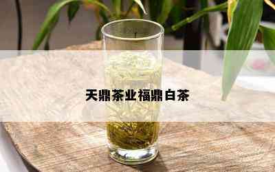 天鼎茶业福鼎白茶