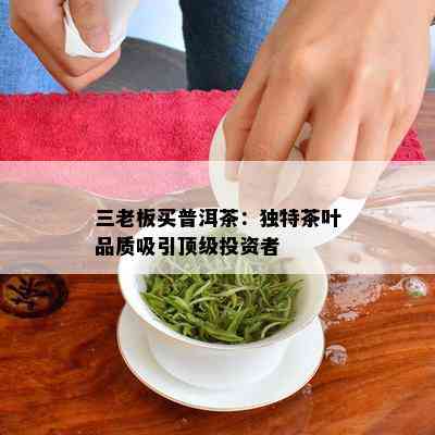 三老板买普洱茶：独特茶叶品质吸引顶级投资者