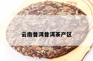 云南普洱普洱茶产区