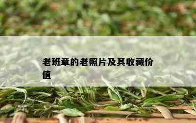 老班章的老照片及其收藏价值