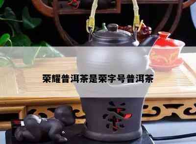 荣耀普洱茶是荣字号普洱茶