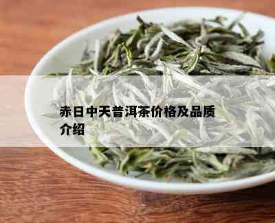 赤日中天普洱茶价格及品质介绍