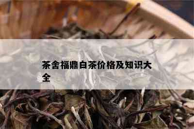 茶舍福鼎白茶价格及知识大全