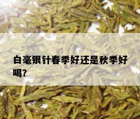 白毫银针春季好还是秋季好喝？