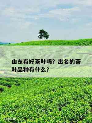 山东有好茶叶吗？出名的茶叶品种有什么？