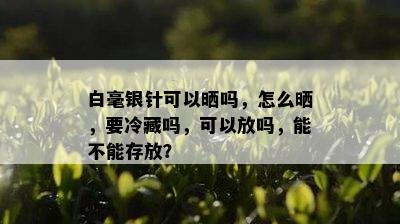 白毫银针可以晒吗，怎么晒，要冷藏吗，可以放吗，能不能存放？