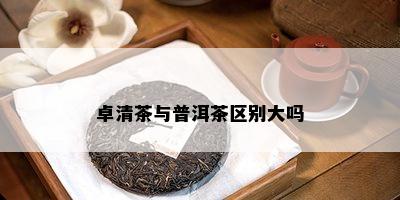 卓清茶与普洱茶区别大吗