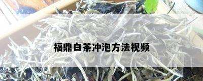 福鼎白茶冲泡方法视频