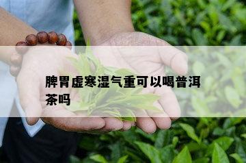 脾胃虚寒湿气重可以喝普洱茶吗