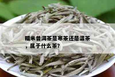 糯米普洱茶是寒茶还是温茶，属于什么茶？