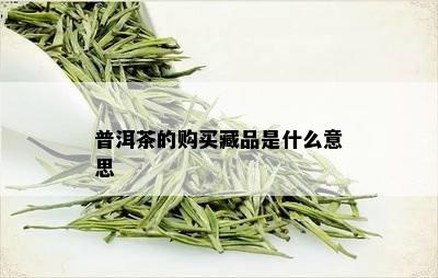 普洱茶的购买藏品是什么意思