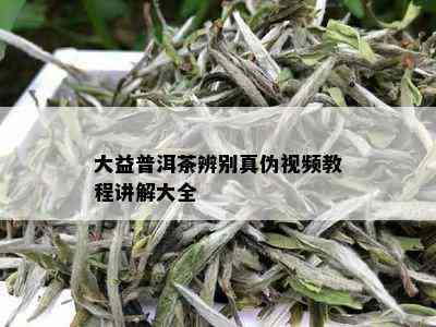 大益普洱茶辨别真伪视频教程讲解大全