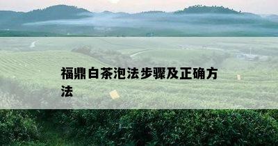 福鼎白茶泡法步骤及正确方法