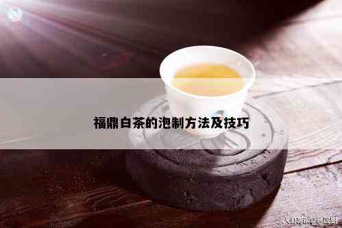 福鼎白茶的泡制方法及技巧