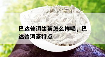 巴达普洱生茶怎么样喝，巴达普洱茶特点