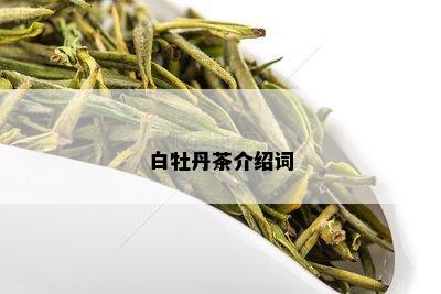 白牡丹茶介绍词